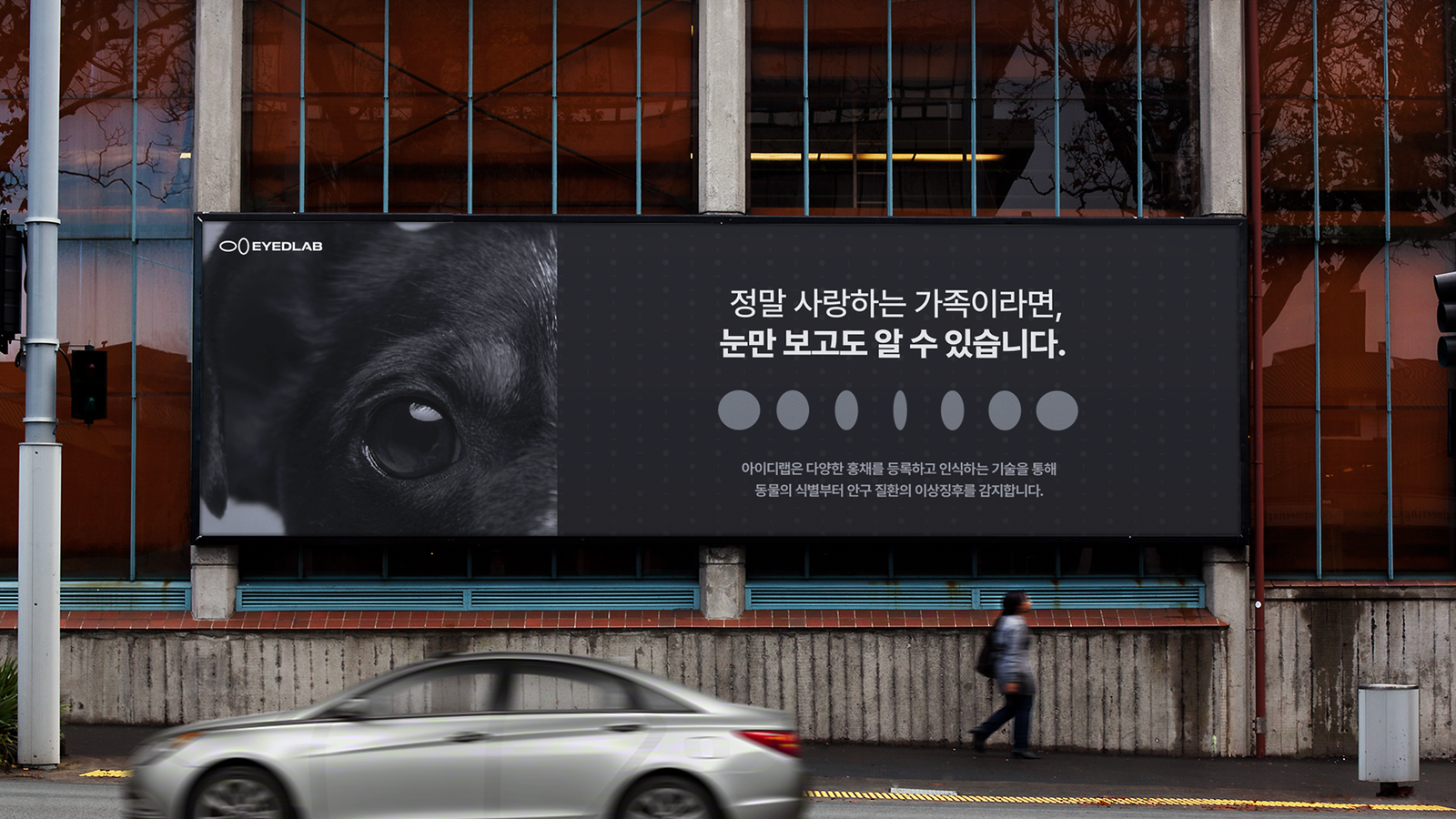 eyedlab-6