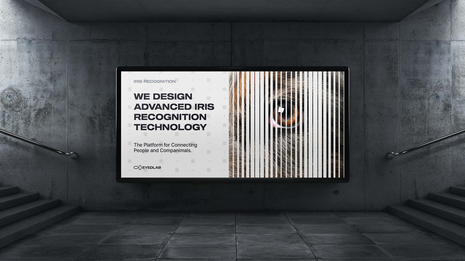 eyedlab-7